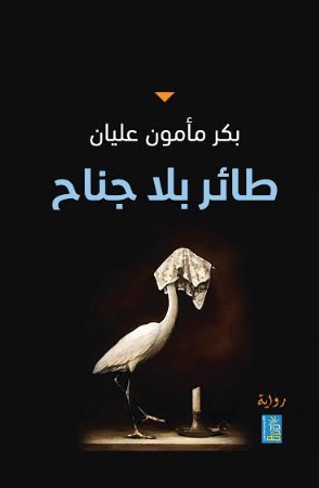 طائر بلا جناح