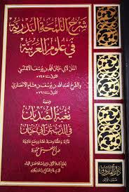شرح اللمحة البدرية في علوم العربية